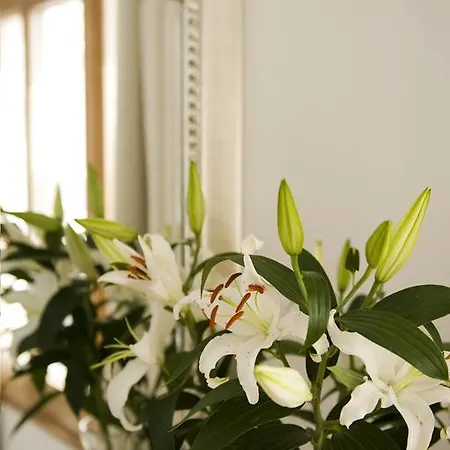 Hotel Gold - Small Luxury Of The World 4*